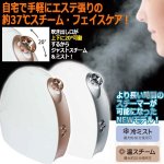 画像1: 肌から毛穴まで浸透！HOT&COOLフェイススチーマー (1)