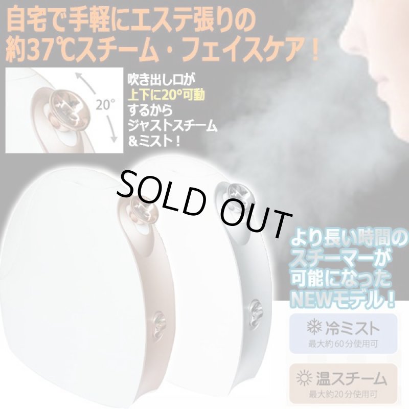 画像1: 肌から毛穴まで浸透！HOT&COOLフェイススチーマー (1)