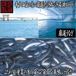 画像2: 浜松・浜名湖うな茶漬け2人前 (2)