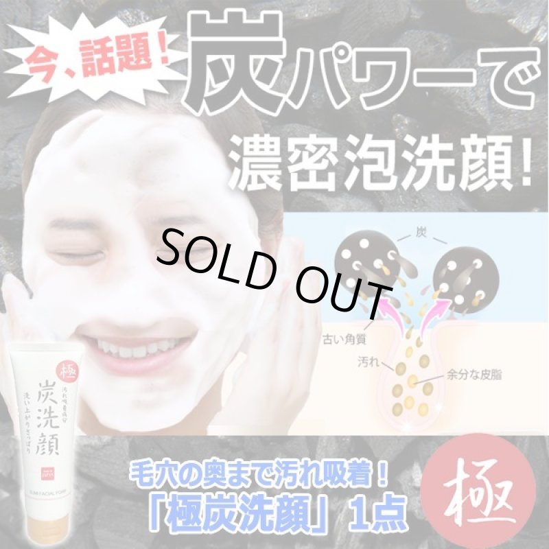 画像10: 毛穴の奥まで汚れ吸着!「極炭洗顔」1点 (10)