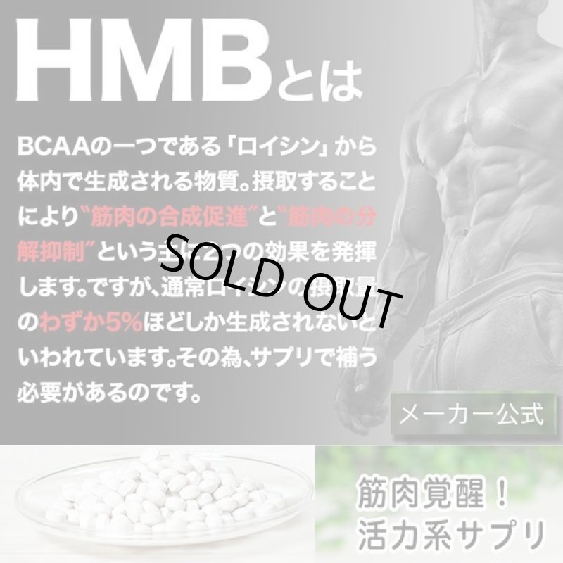 画像5: 筋肉革命SHAPE UP&MUSCLE!「SIXMAX HMB鋼[ハガネ]2680」3パック (5)