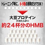 画像6: 筋肉革命SHAPE UP&MUSCLE!「SIXMAX HMB鋼[ハガネ]2680」3パック (6)