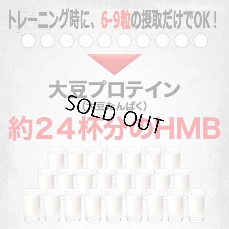 画像6: 筋肉革命SHAPE UP&MUSCLE!「SIXMAX HMB鋼[ハガネ]2680」3パック (6)