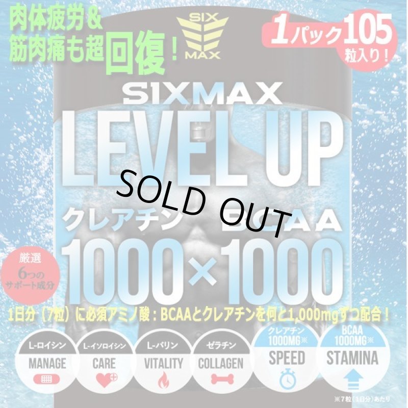 画像1: 筋肉革命RECOVERY!「SIXMAX LEVEL UP[レベルアップ]」1パック (1)