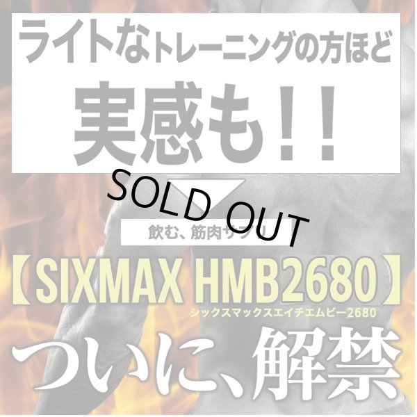 筋肉革命SHAPE UP&MUSCLE!「SIXMAX HMB鋼[ハガネ]2680」3パック