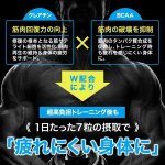 画像6: 筋肉革命RECOVERY!「SIXMAX LEVEL UP[レベルアップ]」3パック (6)