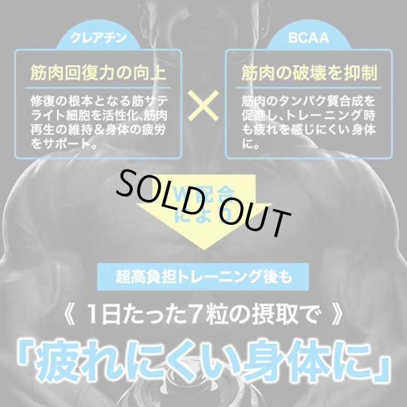 画像6: 筋肉革命RECOVERY!「SIXMAX LEVEL UP[レベルアップ]」3パック (6)