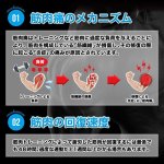画像4: 筋肉革命RECOVERY!「SIXMAX LEVEL UP[レベルアップ]」3パック (4)