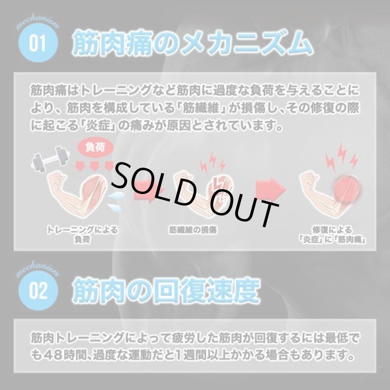 画像4: 筋肉革命RECOVERY!「SIXMAX LEVEL UP[レベルアップ]」3パック (4)