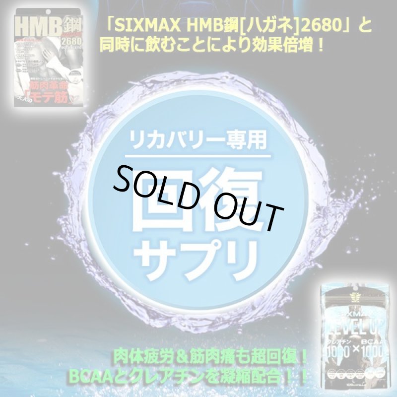 画像2: 筋肉革命RECOVERY!「SIXMAX LEVEL UP[レベルアップ]」3パック (2)