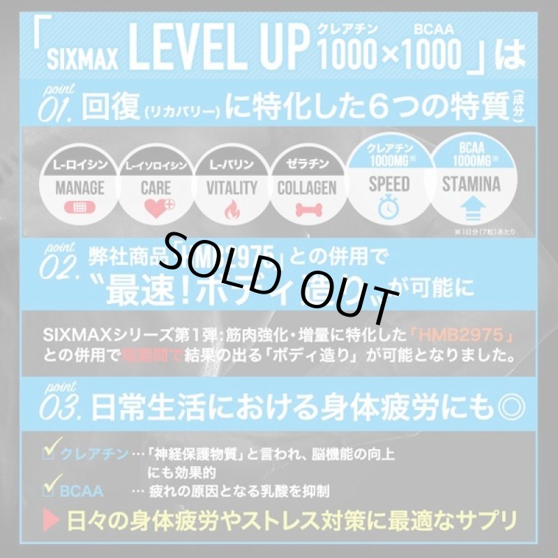 画像7: 筋肉革命RECOVERY!「SIXMAX LEVEL UP[レベルアップ]」3パック (7)