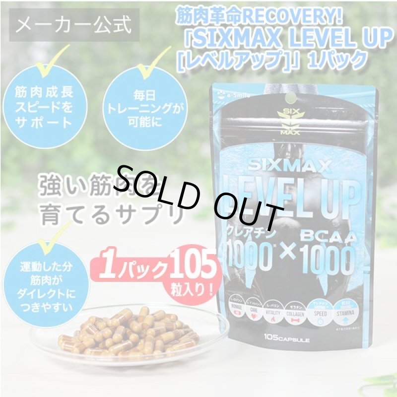 画像8: 筋肉革命RECOVERY!「SIXMAX LEVEL UP[レベルアップ]」1パック (8)