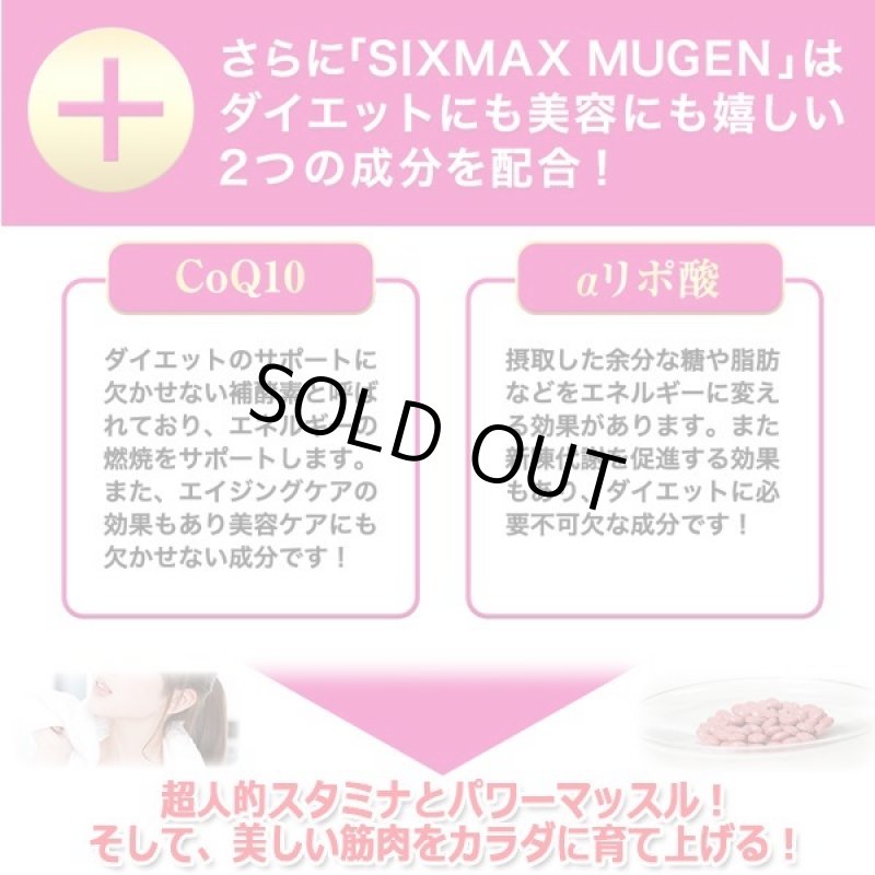 画像5: 筋肉革命STAMINA&SLIM MUSCLE!「SIXMAX MUGEN[ムゲン]」1パック (5)