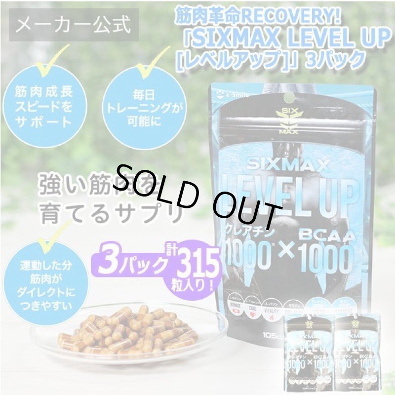 画像8: 筋肉革命RECOVERY!「SIXMAX LEVEL UP[レベルアップ]」3パック (8)