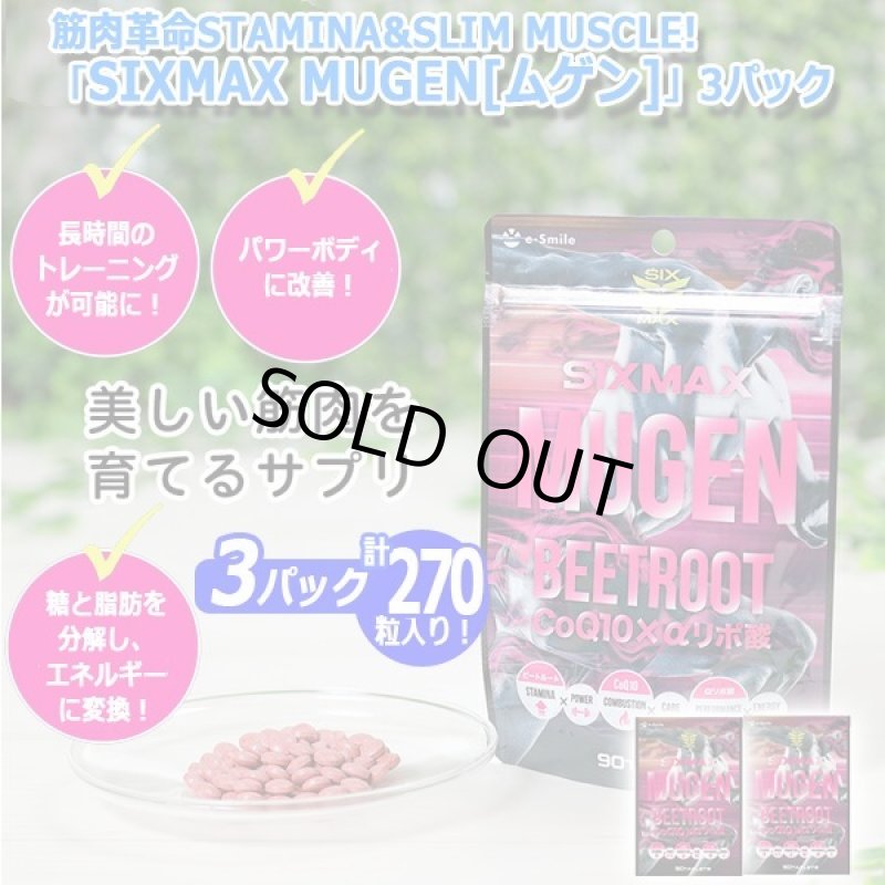 画像8: 筋肉革命STAMINA&SLIM MUSCLE!「SIXMAX MUGEN[ムゲン]」3パック (8)