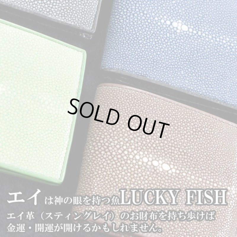 画像4: スティングレイ「スターマーク」２つ折りウォレット (4)