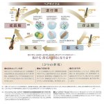 画像3: 薬用育毛剤「華林」 (3)