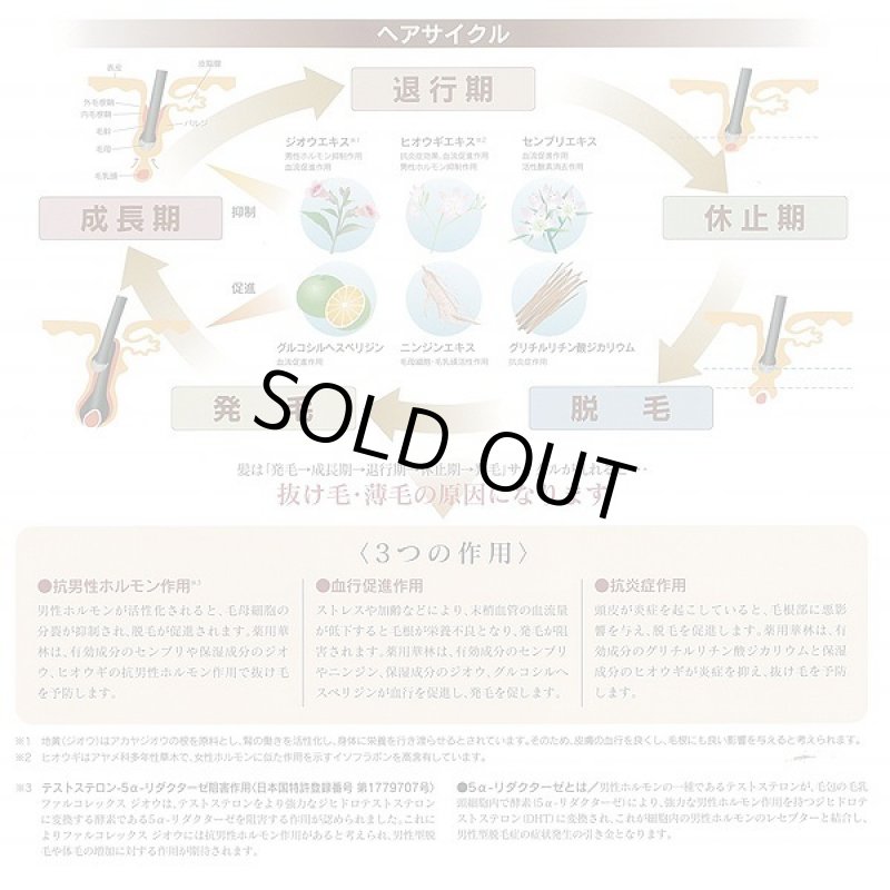 画像3: 薬用育毛剤「華林」 (3)