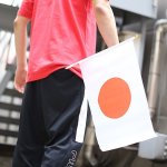 画像2: 日本国旗手旗フラッグ5本セット (2)