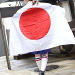 画像3: 日本国旗特大日の丸フラッグ (3)