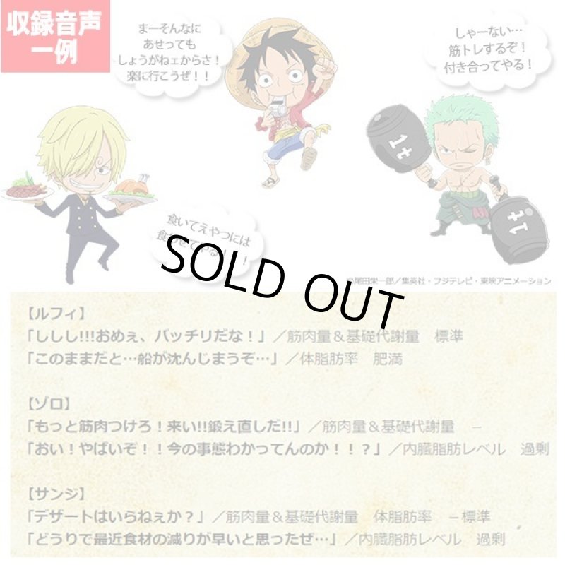 画像2: TANITA ONE PIECEインナースキャンVoice (2)