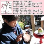 画像8: 有田焼窯元・開運赤富士シリーズ「あけぼの美人茶碗」 (8)
