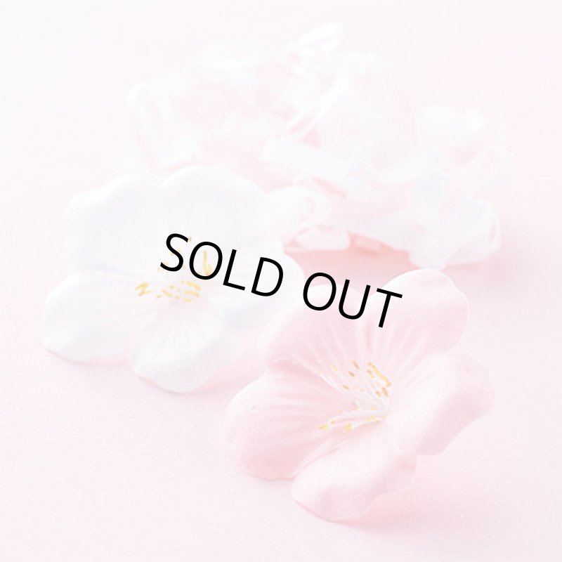 画像5: さくらフラワーソープ10個セット（2色均等アソート） (5)