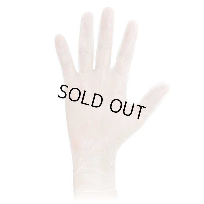 画像2: Ciビニール手袋パウダー付き(100枚入) (2)