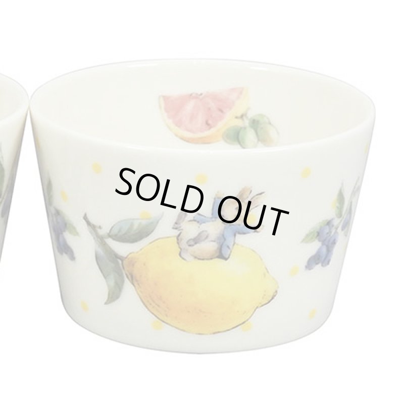 画像3: ピーターラビット「フルーツ&ベジタブル」ペアプチボウルセット (3)