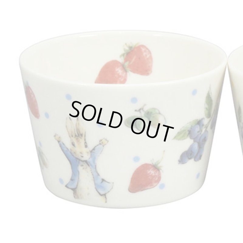 画像2: ピーターラビット「フルーツ&ベジタブル」ペアプチボウルセット (2)