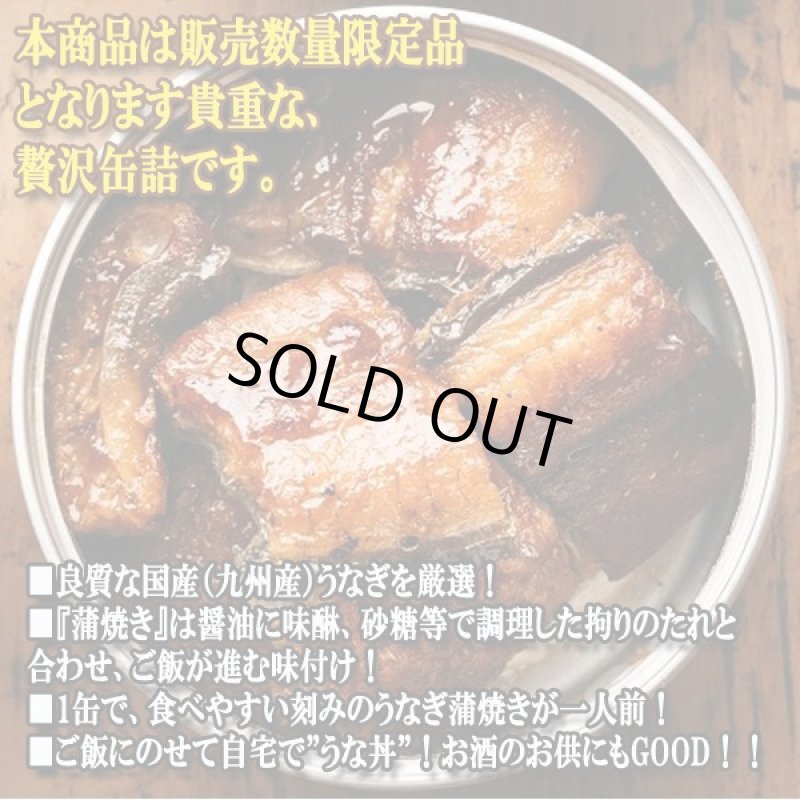 画像3: 国産うなぎ蒲焼き刻み一人前 6缶セット (3)