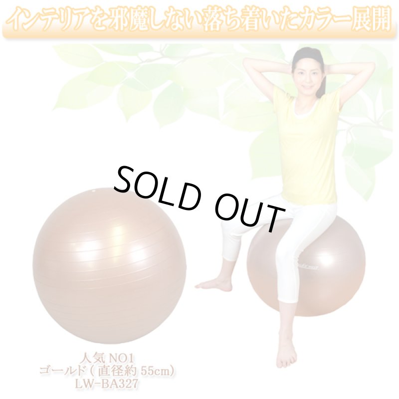 画像9: アンチバーストヨガバランスボール (9)