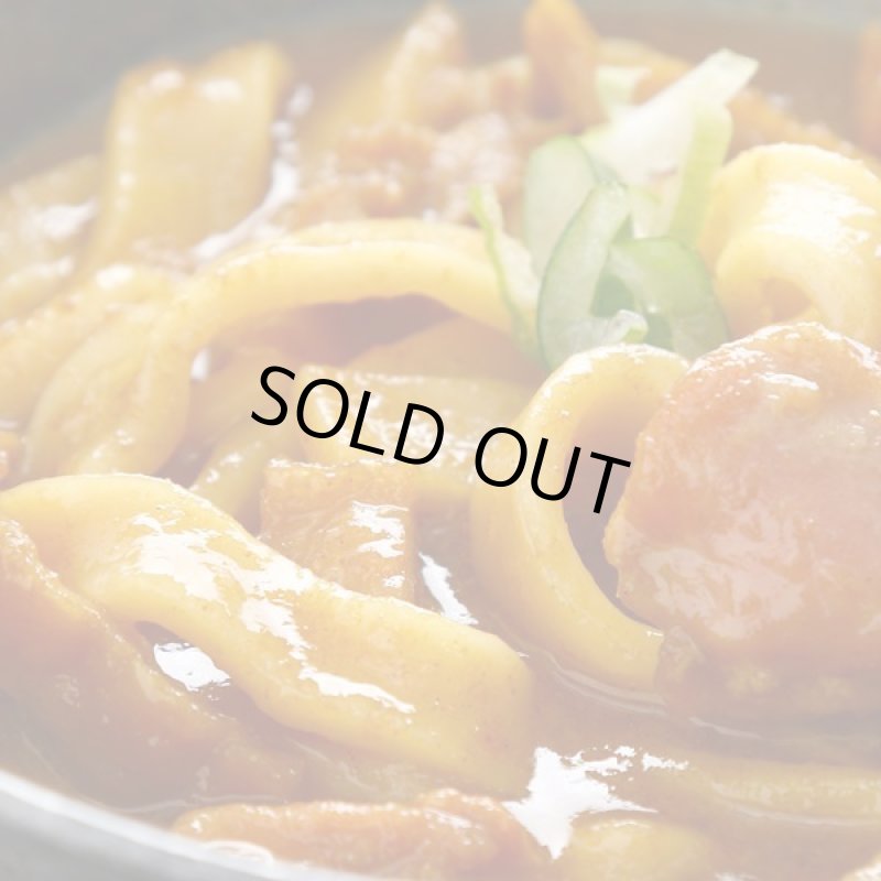 画像9: レンジアップうどん「ほうとう・吉田のうどん・カレーうどん」3種セット(9袋組) (9)