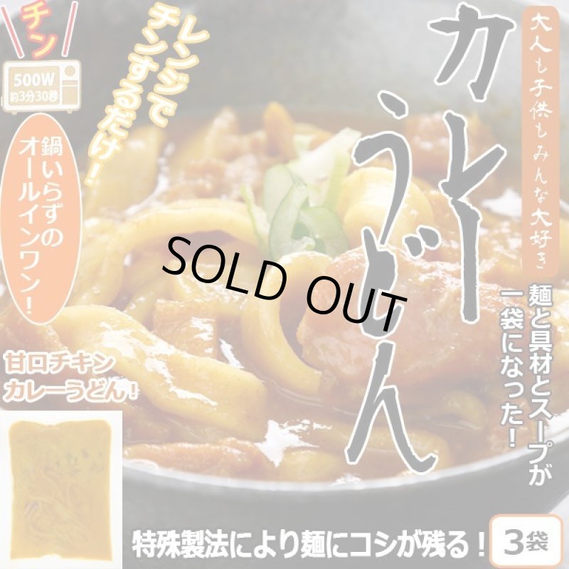 画像8: レンジアップうどん「ほうとう・吉田のうどん・カレーうどん」3種セット(9袋組) (8)