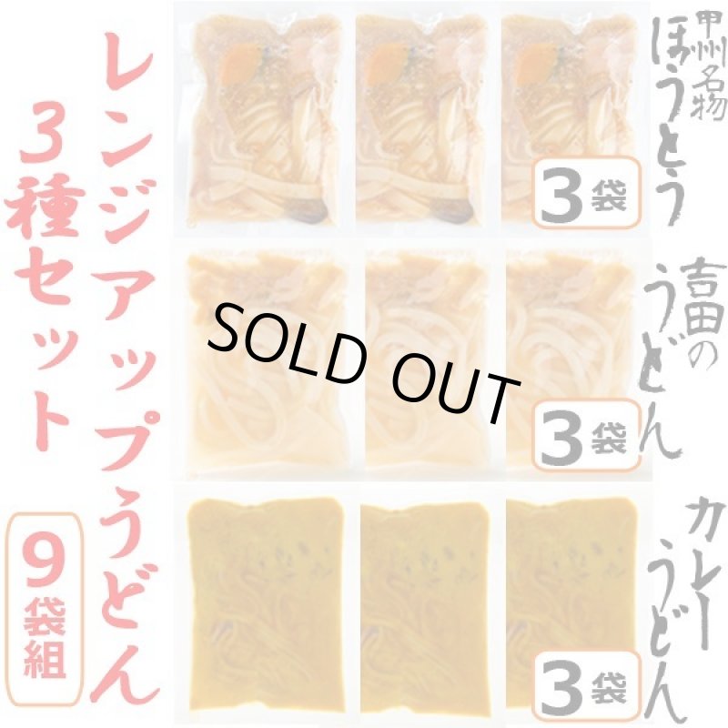 画像12: レンジアップうどん「ほうとう・吉田のうどん・カレーうどん」3種セット(9袋組) (12)