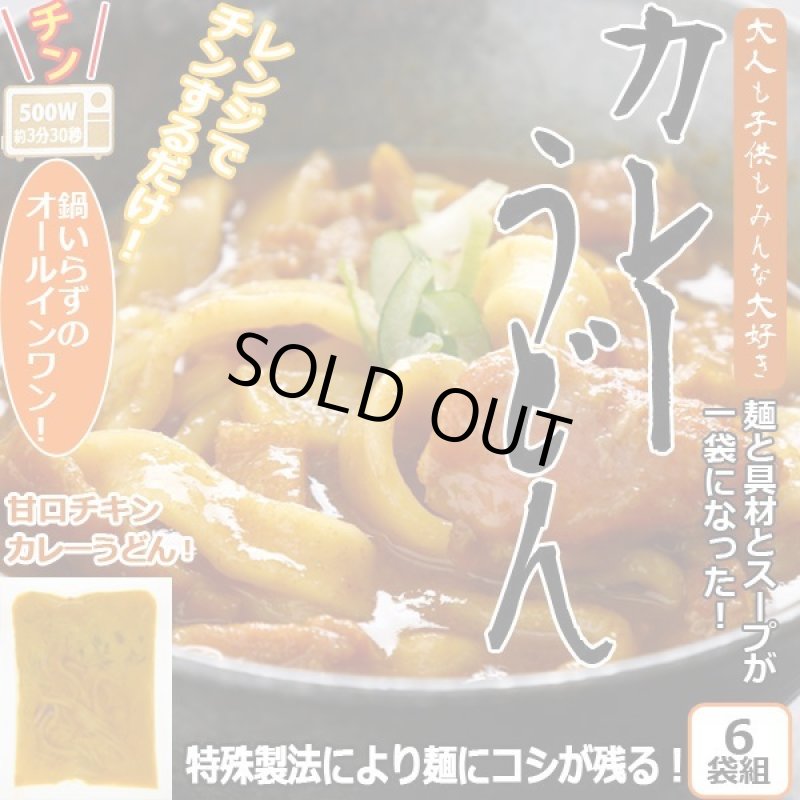 画像1: レンジアップうどん「カレーうどん」(6袋組） (1)