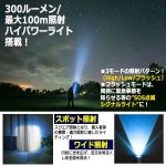 画像3: メタルボディ伸縮式ディフェンスライト300 (3)