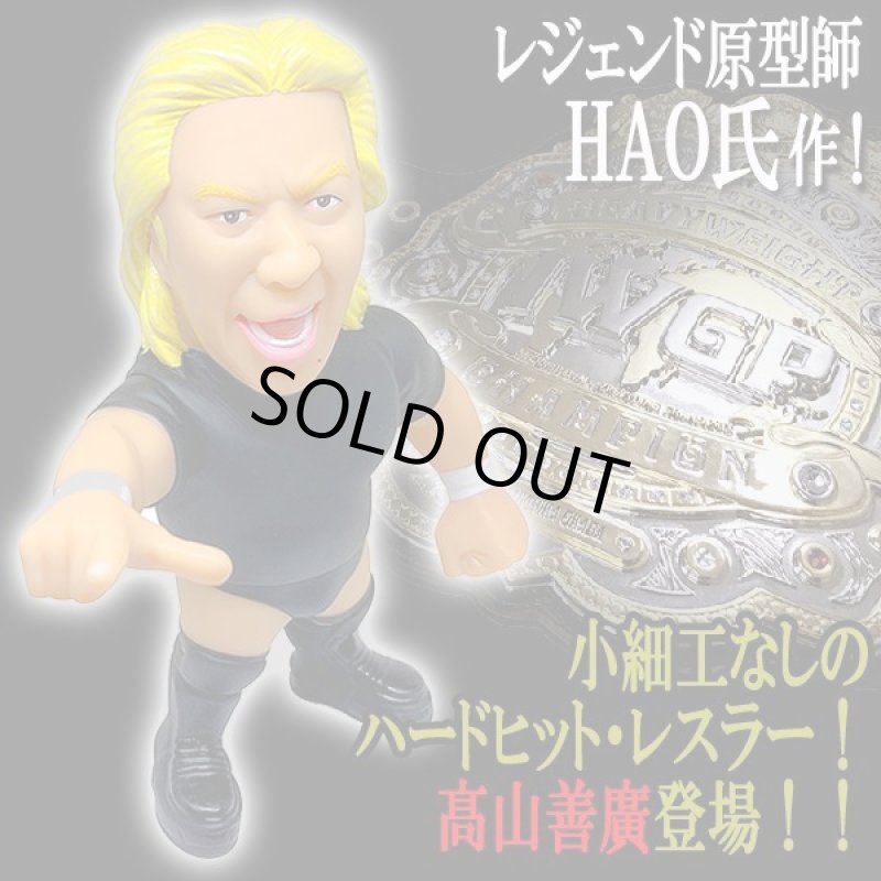 画像2: 16dソフビコレクション高山善廣 (2)