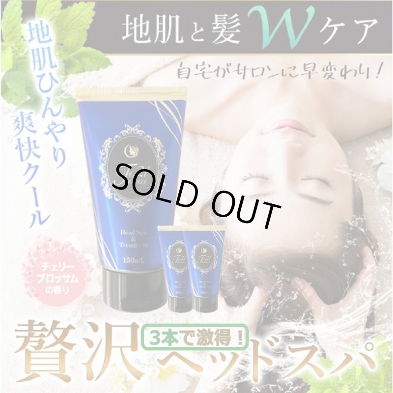 画像1: 頭皮ひんやり贅沢COOL！Fussa21ヘッドスパ＆トリートメント150mL[3本] (1)