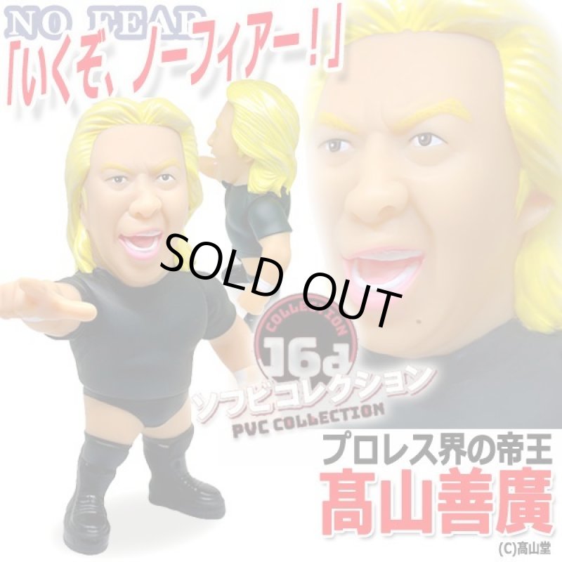 画像1: 16dソフビコレクション高山善廣 (1)