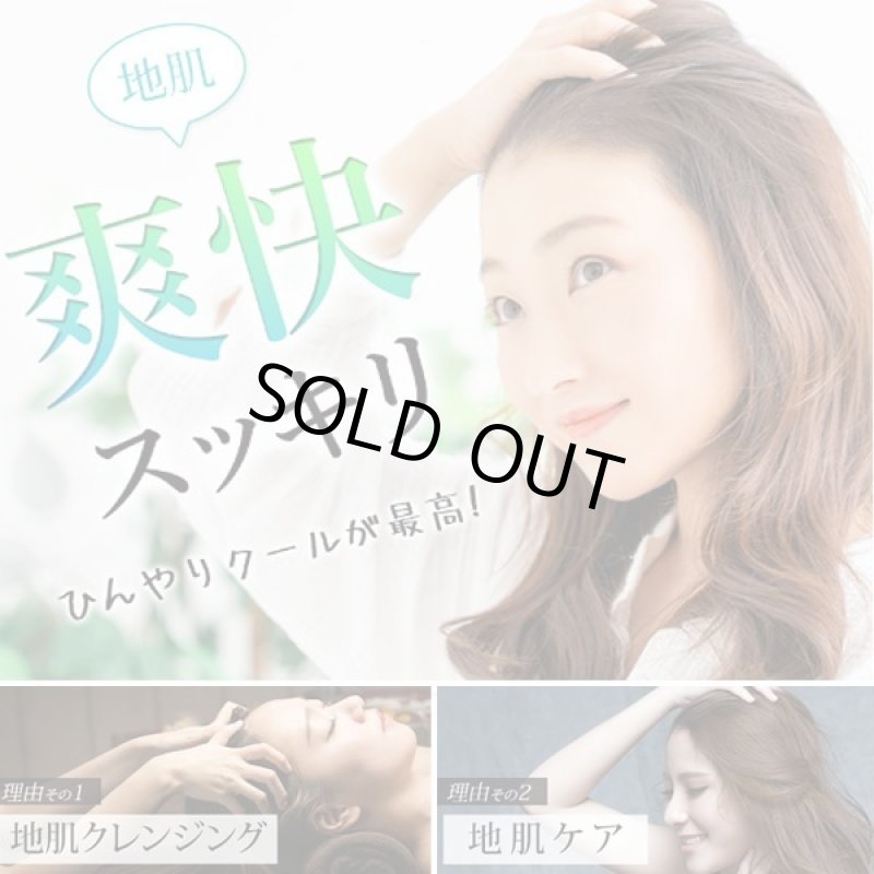 画像3: 頭皮ひんやり贅沢COOL！Fussa21ヘッドスパ＆トリートメント150mL[3本] (3)