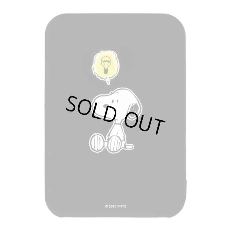 画像9: ピーナッツFLASH POWER CHARGER5000 (9)