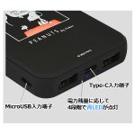 画像3: ピーナッツFLASH POWER CHARGER5000 (3)