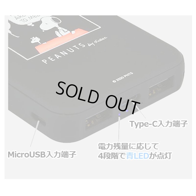 画像3: ピーナッツFLASH POWER CHARGER5000 (3)