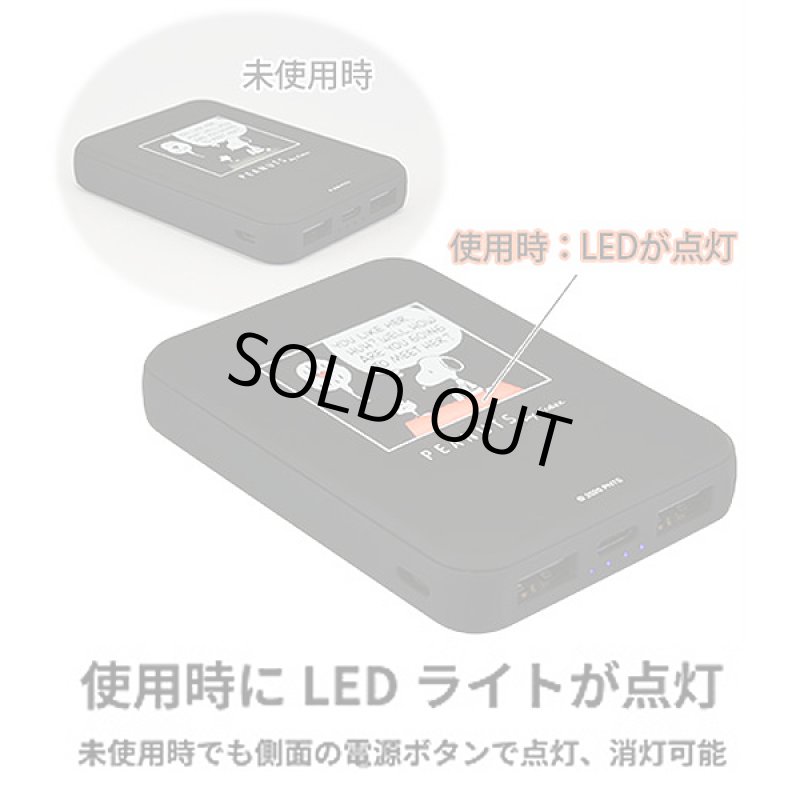 画像4: ピーナッツFLASH POWER CHARGER5000 (4)