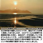 画像2: 幸運をもたらす奇跡の写真「時を越えて（あまびえの出現）」 (2)