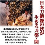 画像4: 岐阜県関市産名刀包丁シリーズ坂本龍馬「陸奥守吉行」   (4)