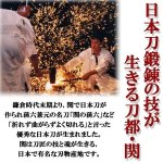 画像4: 岐阜県関市産名刀包丁シリーズ坂本龍馬「陸奥守吉行」   (4)