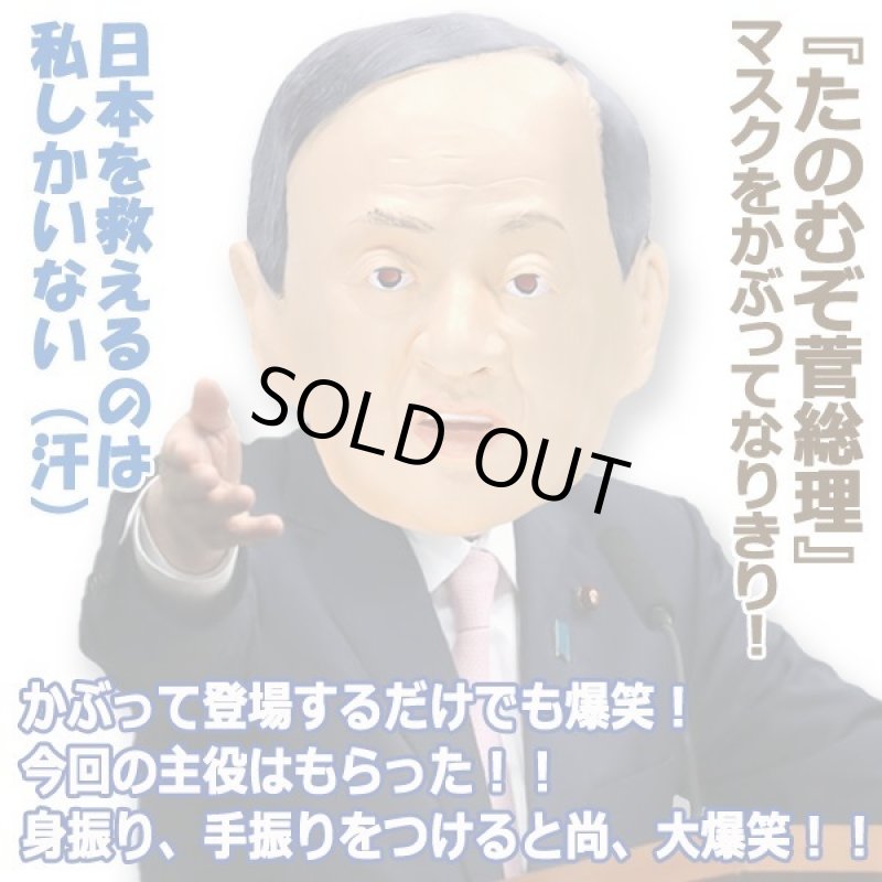 画像3: なりきりマスク「たのむぞ菅総理」 (3)