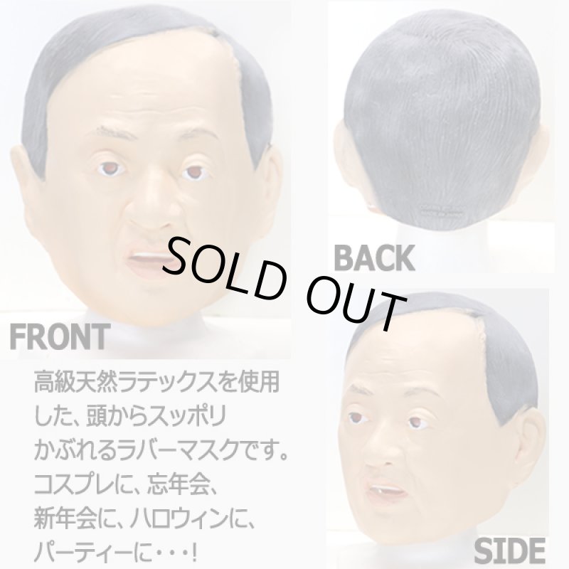 画像2: なりきりマスク「たのむぞ菅総理」 (2)